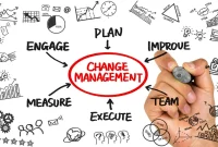 Effective Change Management Strategies for Business Leaders