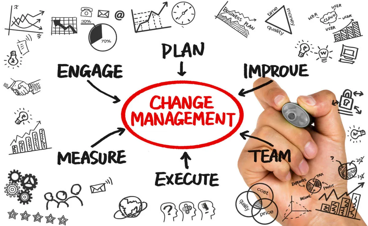 Effective Change Management Strategies for Business Leaders